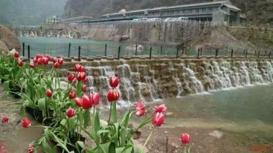 超黄金街霸