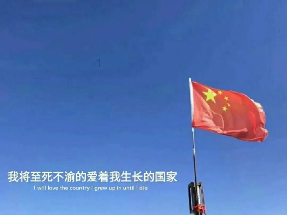 小猫钓鱼正版下载中文版