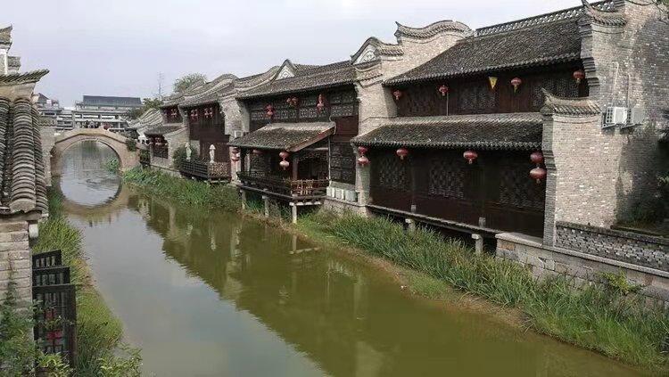 2024聊城年宵花藏宝图发布，蝴蝶兰、杜鹃等年宵花受热捧